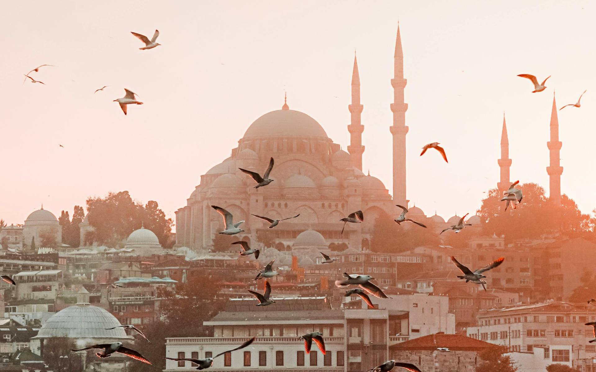 Bohem Bir Mola: The Galata Glory Otel’de Sanat ve Keyif